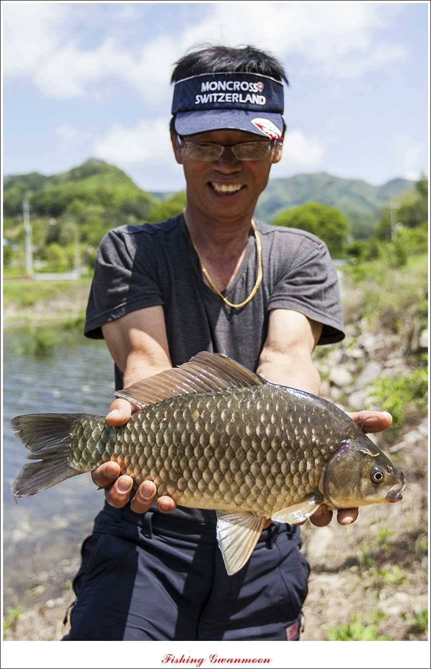 병호 37 cm추평지 사짜 대물들 (조황조행기 - 특파원조황)