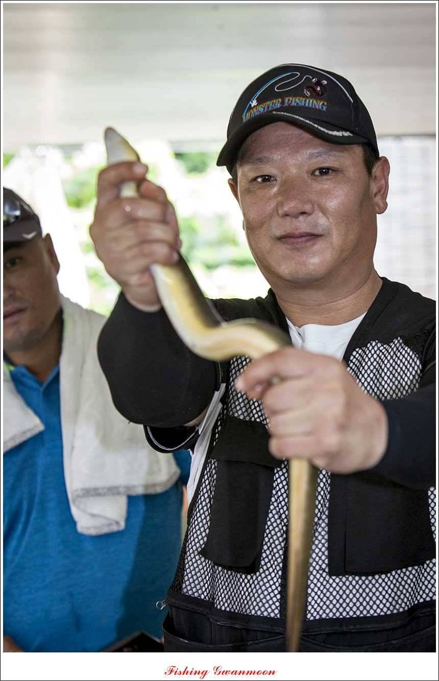 돌감병호늘푸른한버들화곡지 조황 (조황조행기 - 특파원조황)