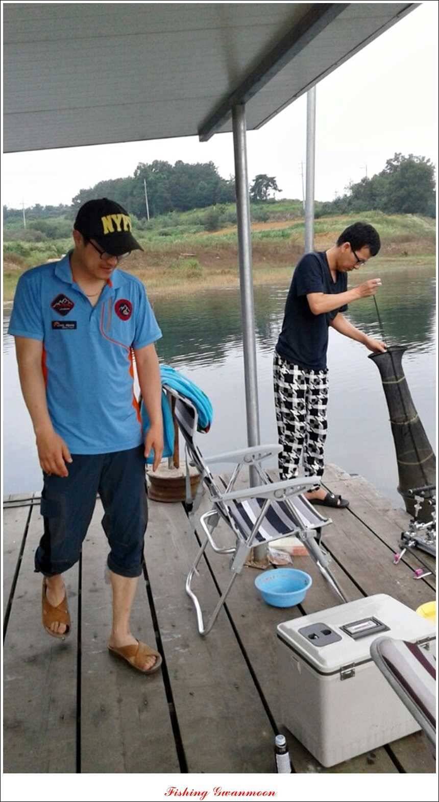 돌감병호늘푸른한버들화곡지 조황 (조황조행기 - 특파원조황)