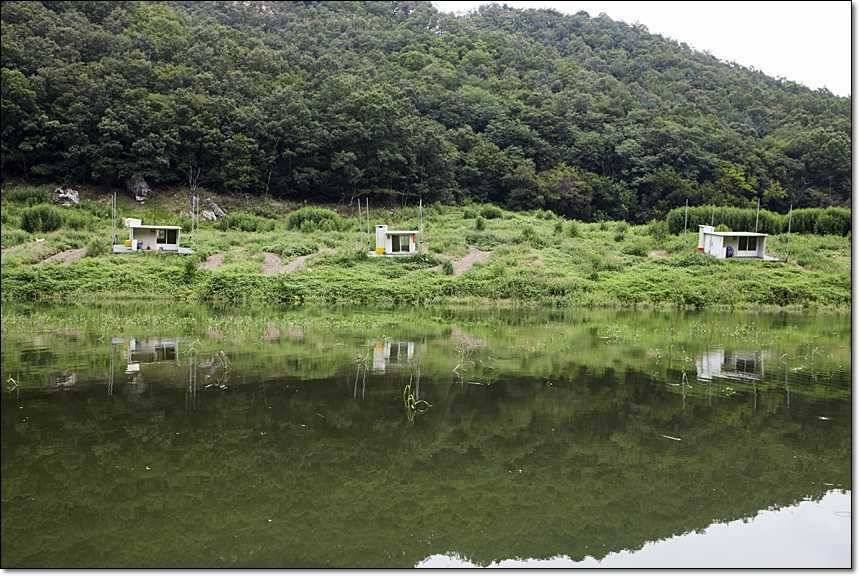 명서리 대물늘푸른 장어 (조황조행기 - 특파원조황)