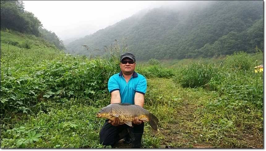 명서리 대물늘푸른 장어 (조황조행기 - 특파원조황)