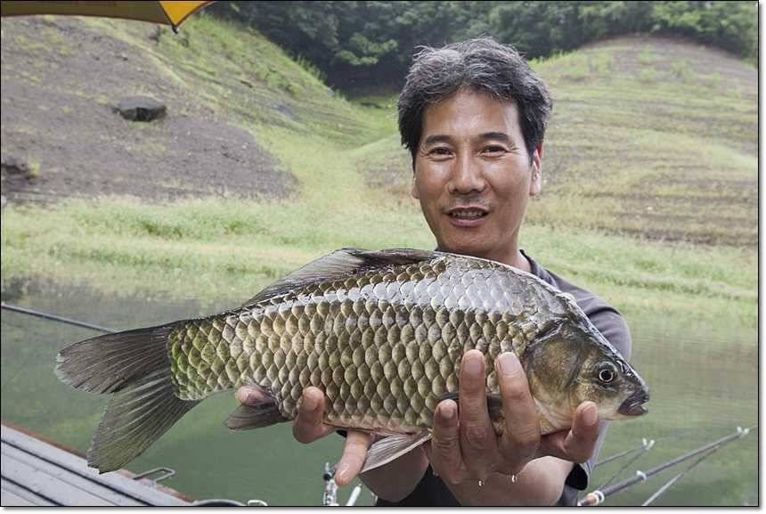 신매 사짜병호 사짜 (조황조행기 - 특파원조황)