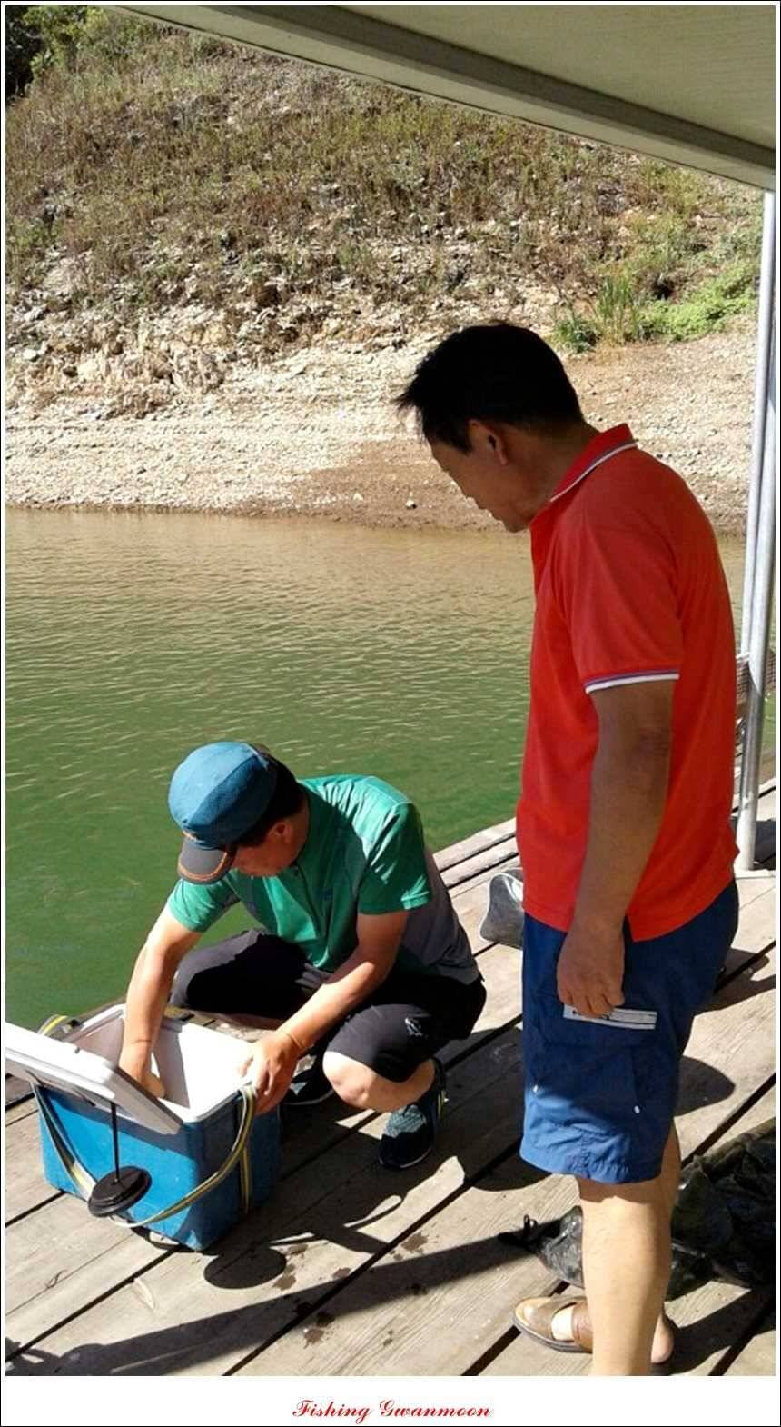 신매 사짜한버들 월척윤 장어 조황 (조황조행기 - 특파원조황)