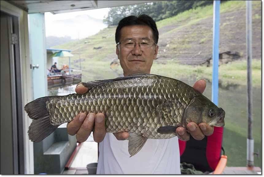 신매 사짜병호 사짜 (조황조행기 - 특파원조황)