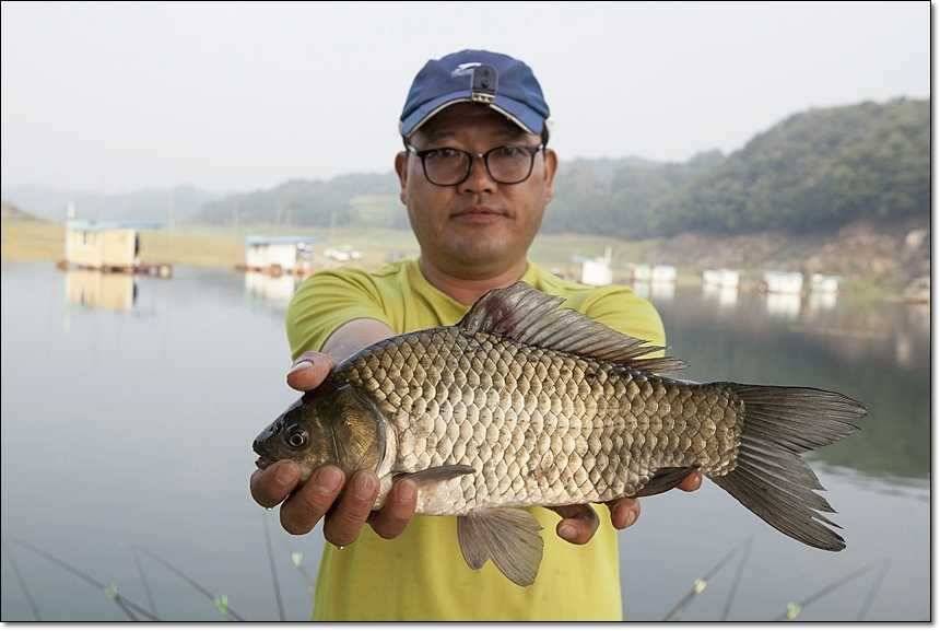 늘푸른 445cm병호 사짜 (조황조행기 - 특파원조황)