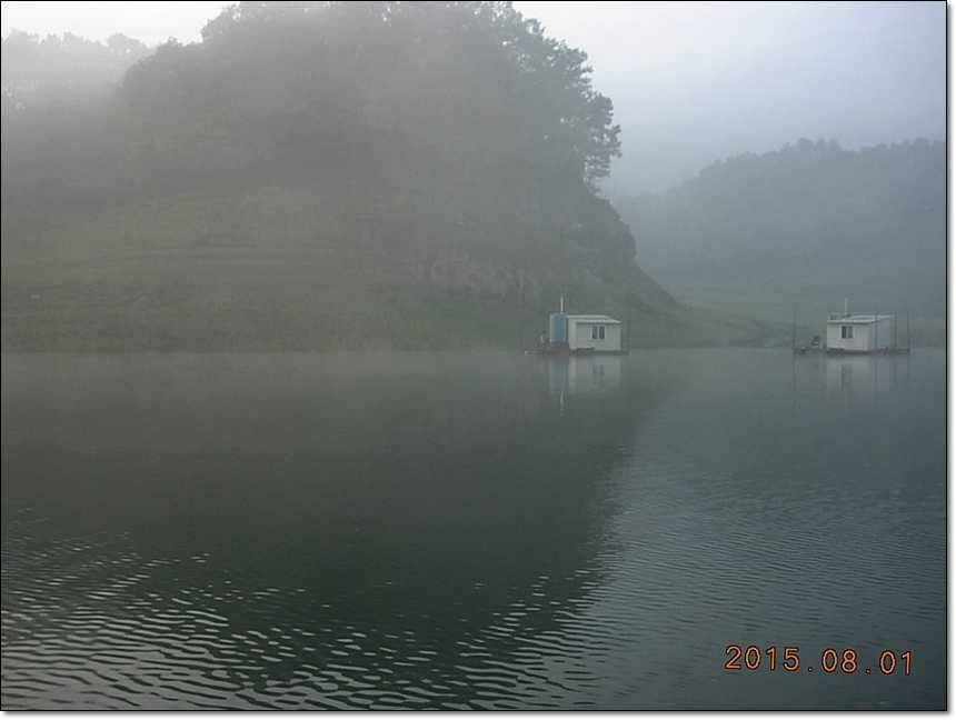 솔 병호 돌감 주말조황 (조황조행기 - 특파원조황)