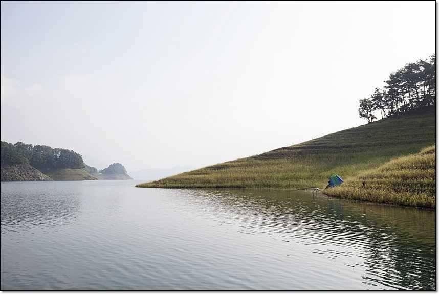 늘푸른 445cm병호 사짜 (조황조행기 - 특파원조황)