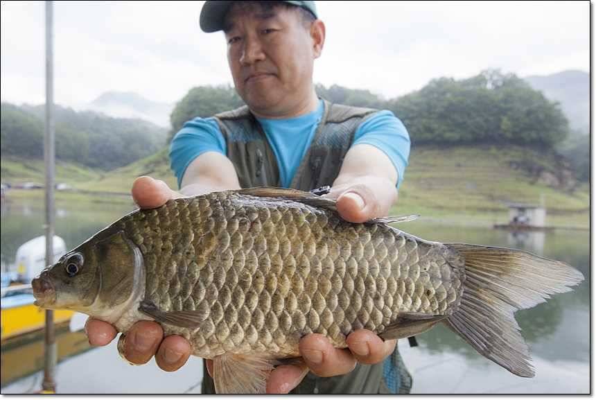 신매 사짜병호 사짜 (조황조행기 - 특파원조황)