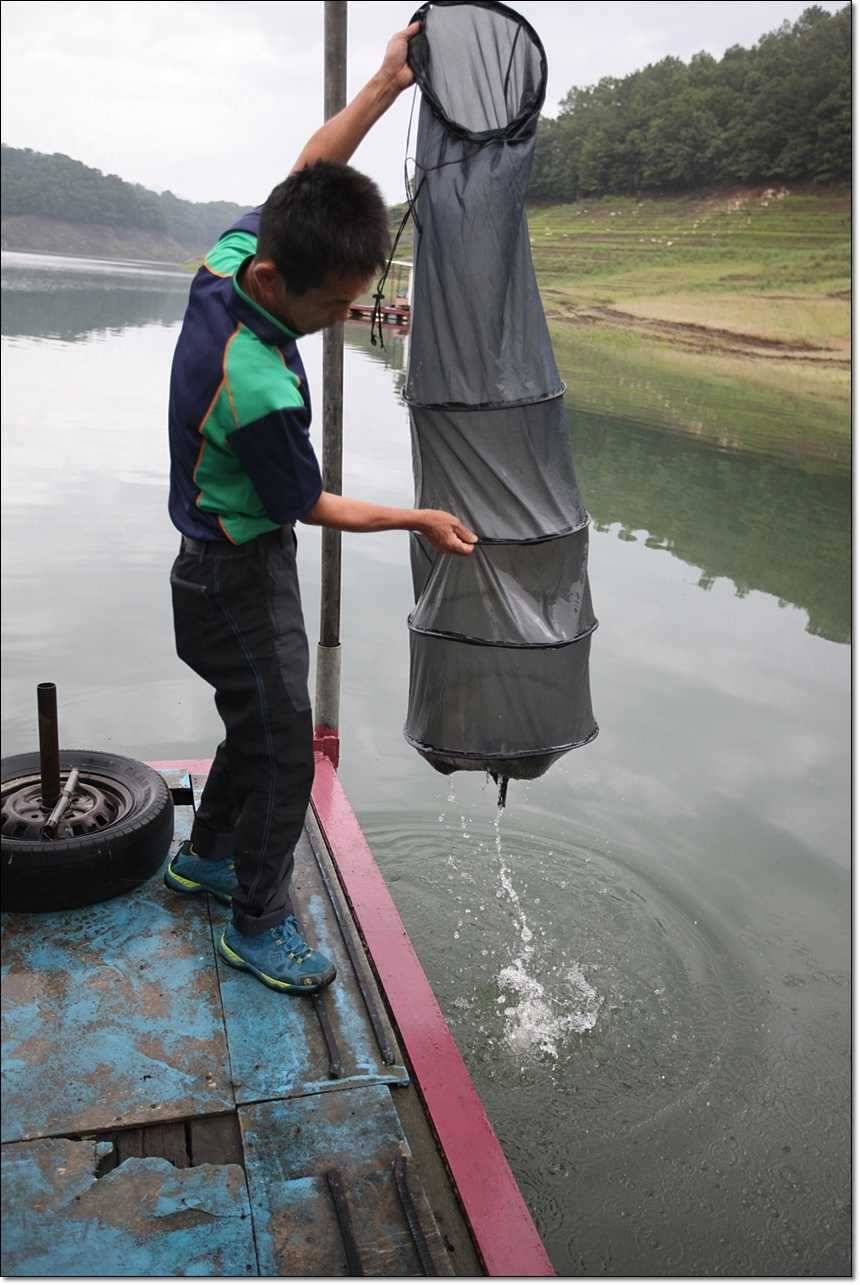 신매 사짜병호 사짜 (조황조행기 - 특파원조황)