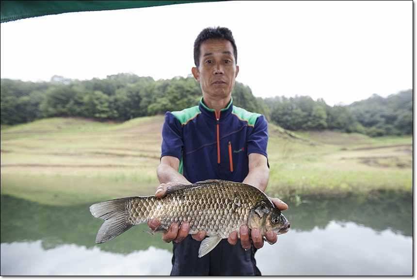 신매 사짜병호 사짜 (조황조행기 - 특파원조황)