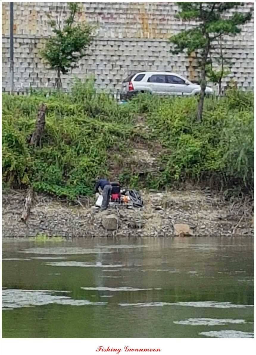 한버들 사짜실리곡 화곡지 월척 (조황조행기 - 특파원조황)