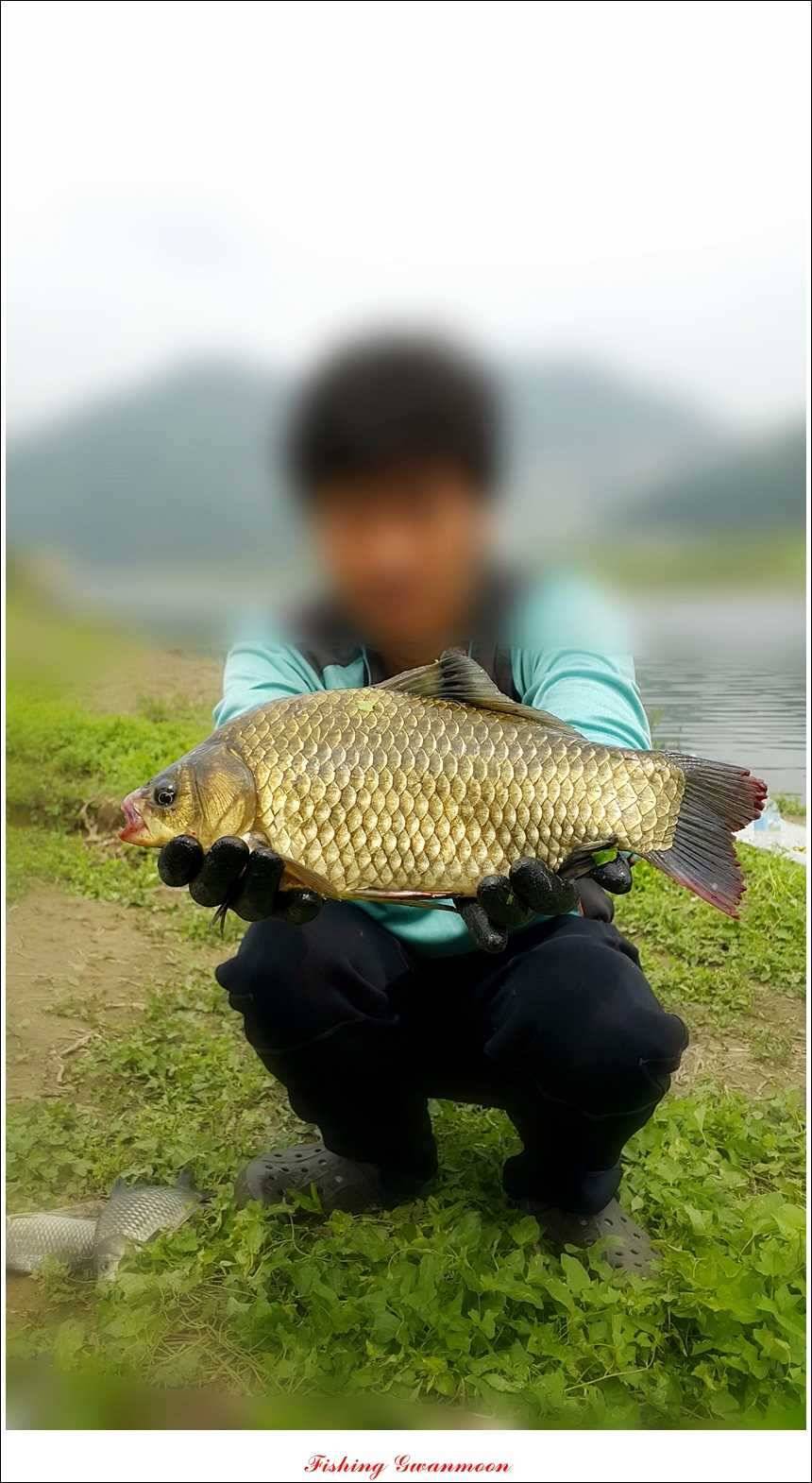한버들 사짜실리곡 화곡지 월척 (조황조행기 - 특파원조황)