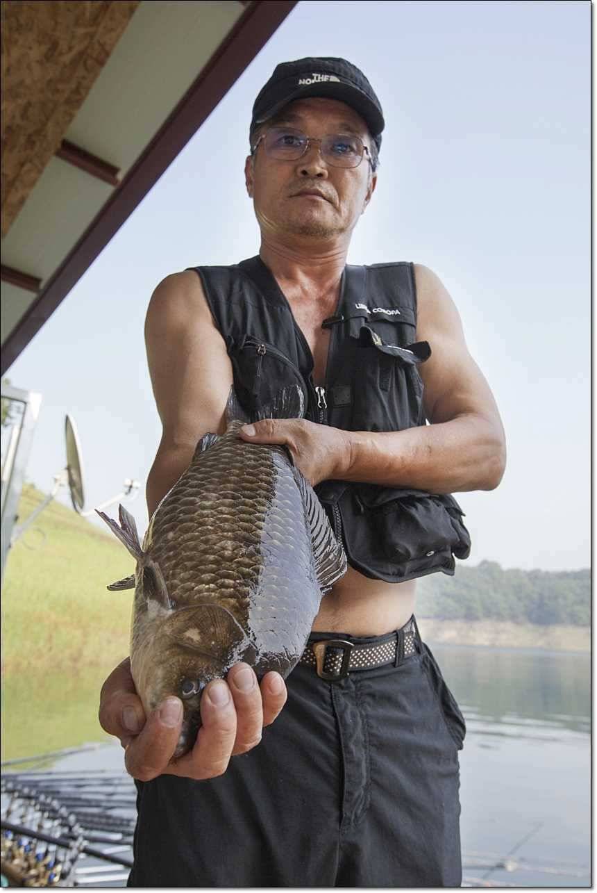 늘푸른 445cm병호 사짜 (조황조행기 - 특파원조황)