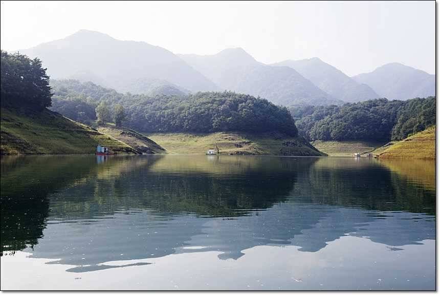 늘푸른 445cm병호 사짜 (조황조행기 - 특파원조황)