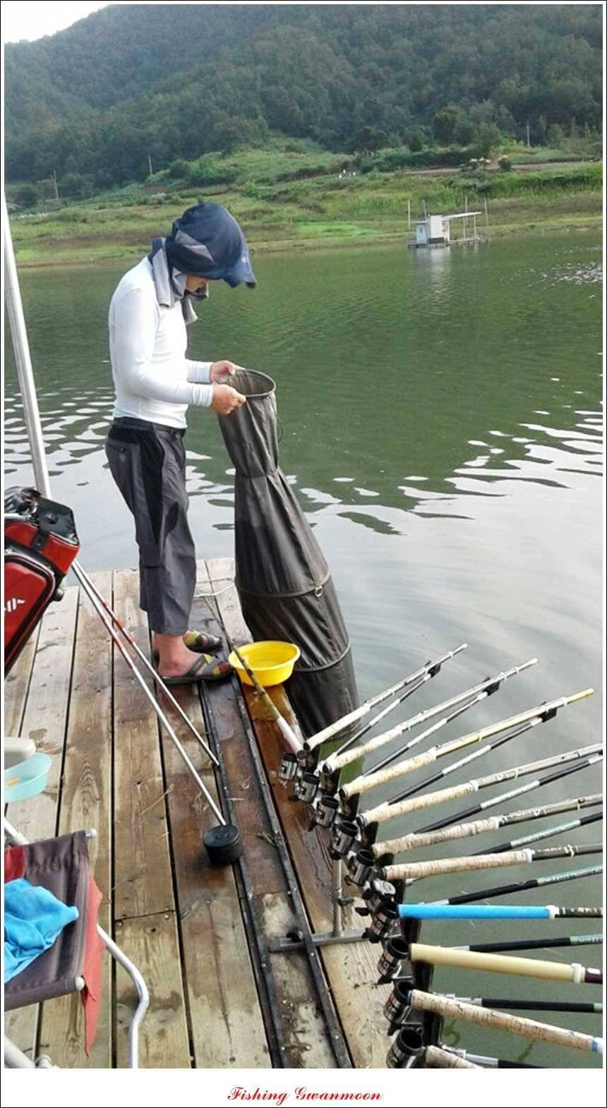 실리곡 월척한버들 마릿수 조황 (조황조행기 - 특파원조황)