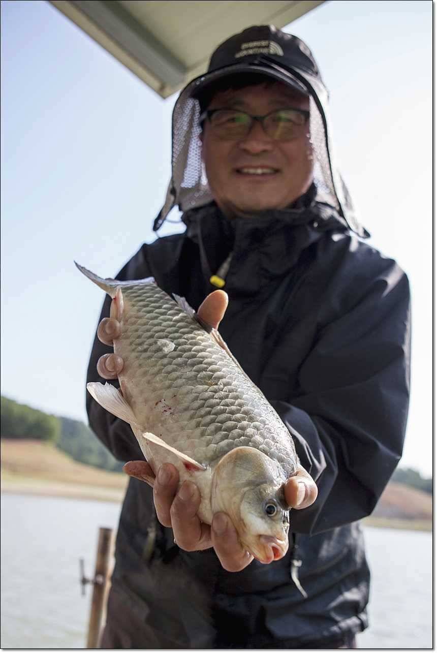 한버들 사짜늘푸른 장어 (조황조행기 - 특파원조황)