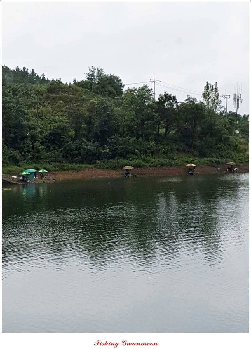 한버들병호실리곡화곡지달천강 조황 (조황조행기 - 특파원조황)