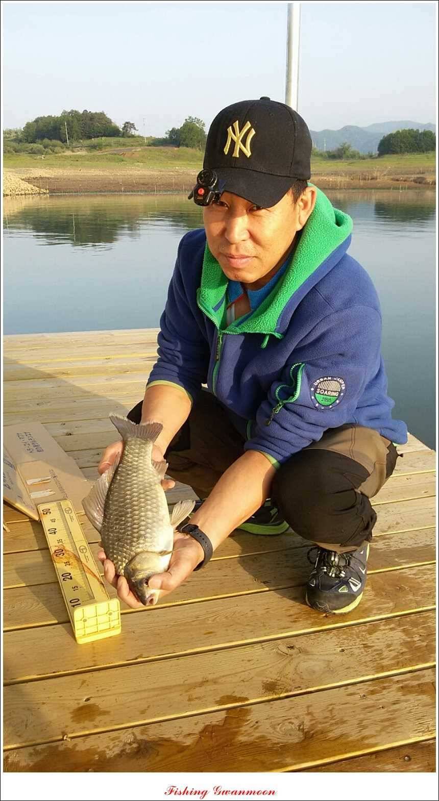충주호 노지 435 cm한버들 월척병호 월척화곡지 월척들 (조황조행기 - 특파원조황)