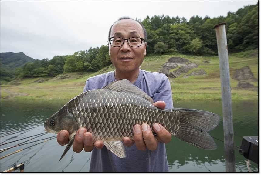 충주호 대물 행진 (조황조행기 - 특파원조황)