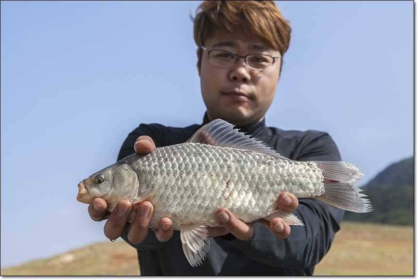 한버들 사짜늘푸른 장어 (조황조행기 - 특파원조황)