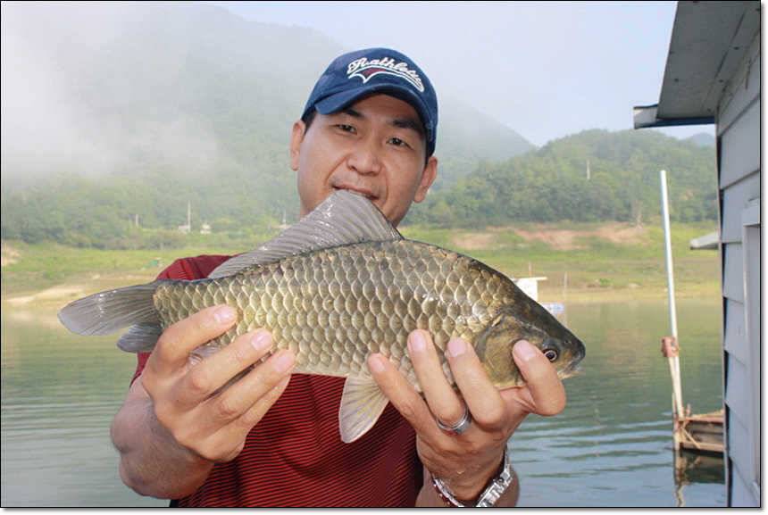 솔 395 cm신매 월척 (조황조행기 - 특파원조황)