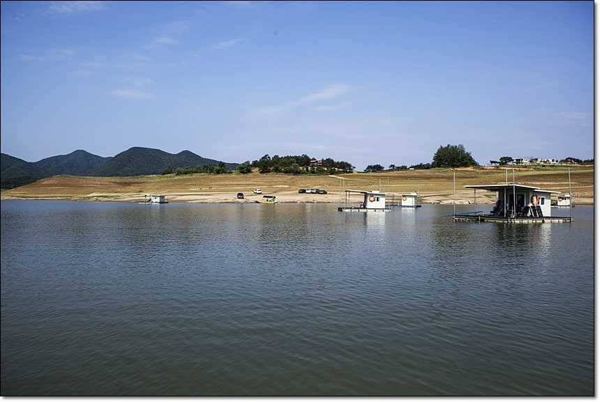 한버들 사짜늘푸른 장어 (조황조행기 - 특파원조황)