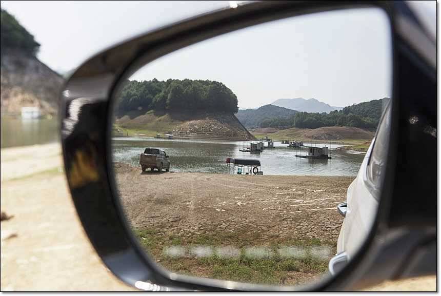 한버들 사짜늘푸른 장어 (조황조행기 - 특파원조황)