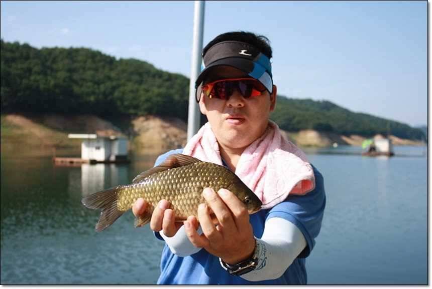 솔 395 cm신매 월척 (조황조행기 - 특파원조황)