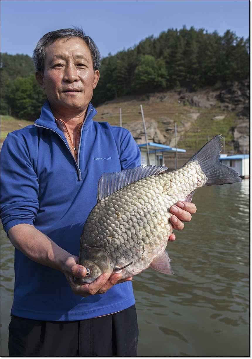충주호 사짜사짜장어 대물 (조황조행기 - 특파원조황)