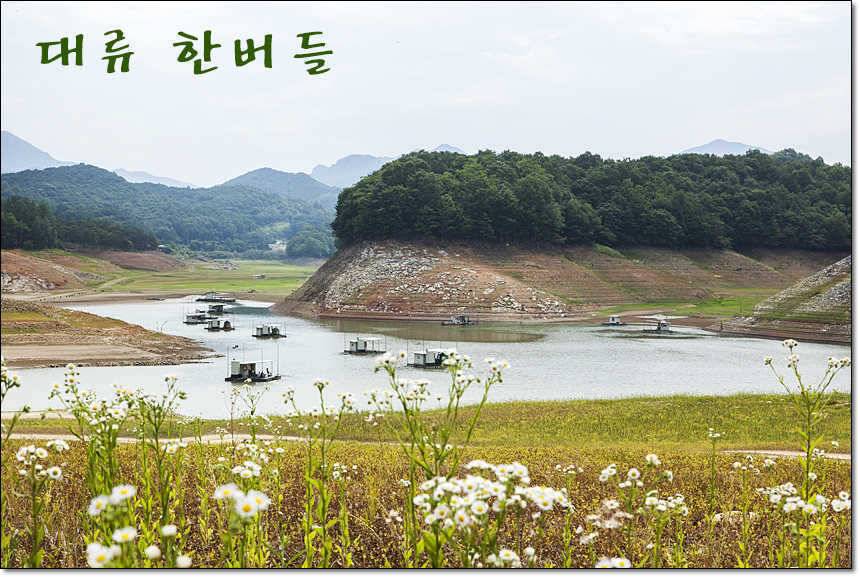 충주호 사짜사짜장어 대물 (조황조행기 - 특파원조황)