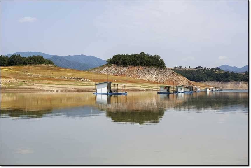 한버들 사짜늘푸른 장어 (조황조행기 - 특파원조황)