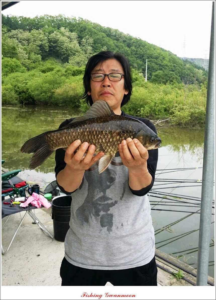 충주호 노지 435 cm한버들 월척병호 월척화곡지 월척들 (조황조행기 - 특파원조황)