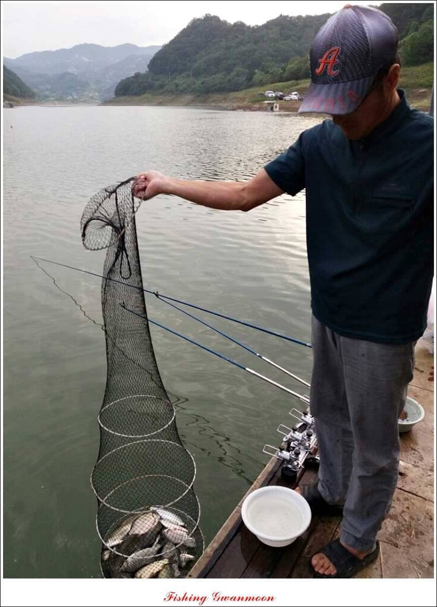 문골돌감실리곡화곡지 조황 (조황조행기 - 특파원조황)