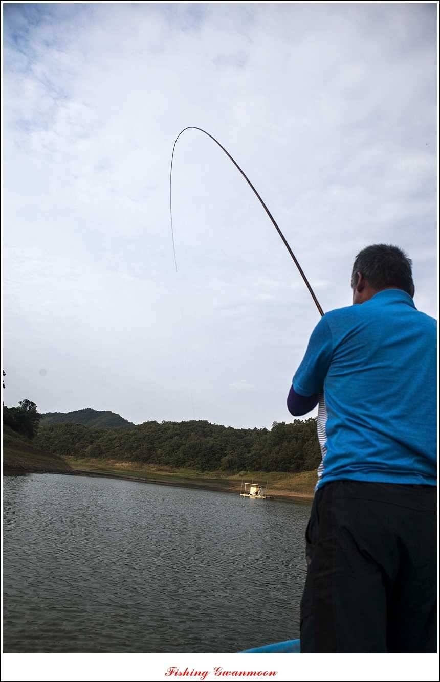 실리곡한버들달천강 조황 (조황조행기 - 특파원조황)