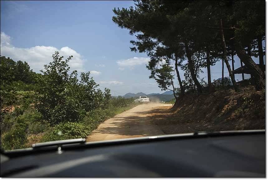한버들 사짜늘푸른 장어 (조황조행기 - 특파원조황)