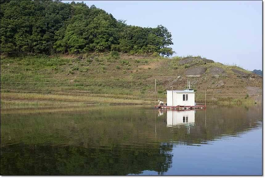 병호 395 cm 대물 (조황조행기 - 특파원조황)
