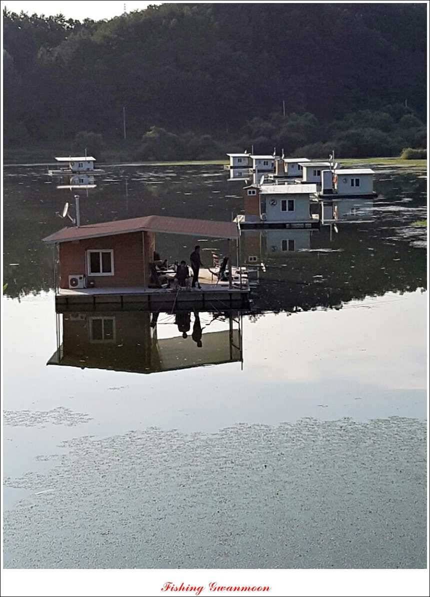 문골돌감실리곡화곡지 조황 (조황조행기 - 특파원조황)