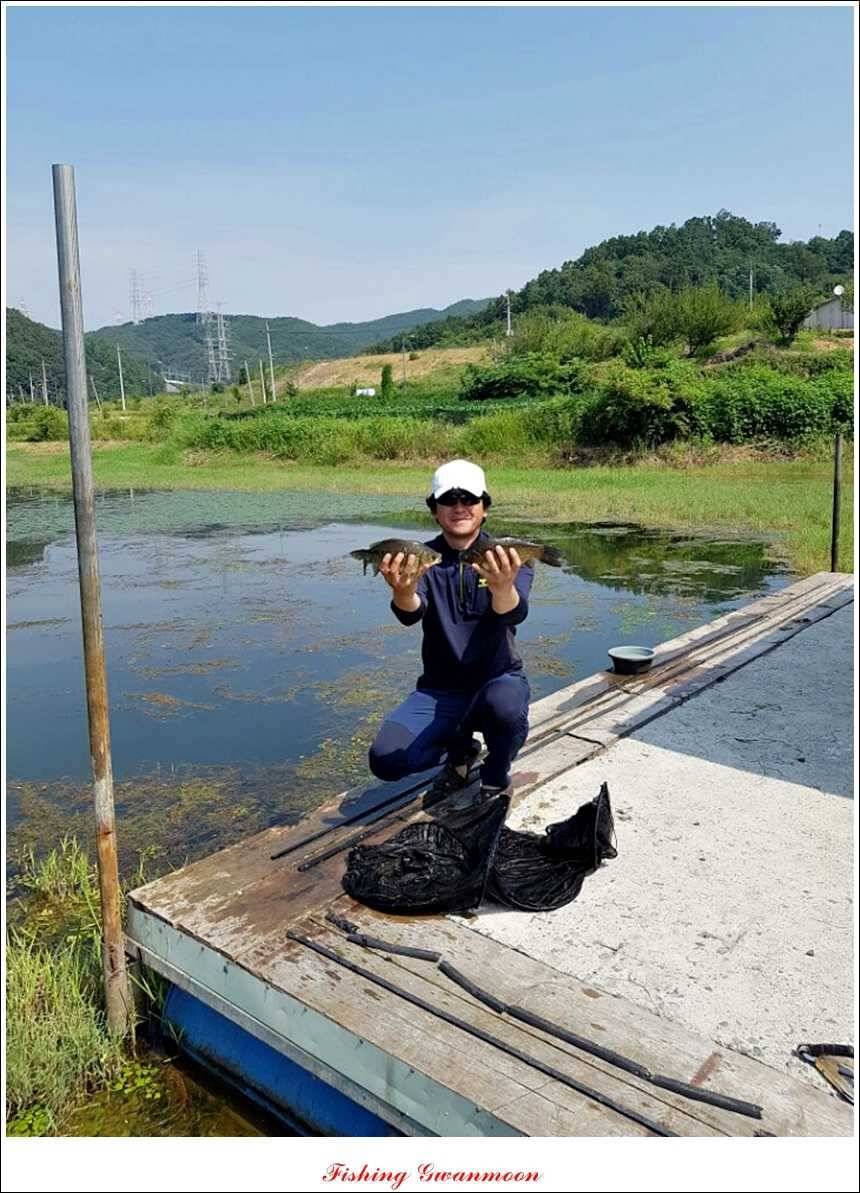 문골돌감실리곡화곡지 조황 (조황조행기 - 특파원조황)