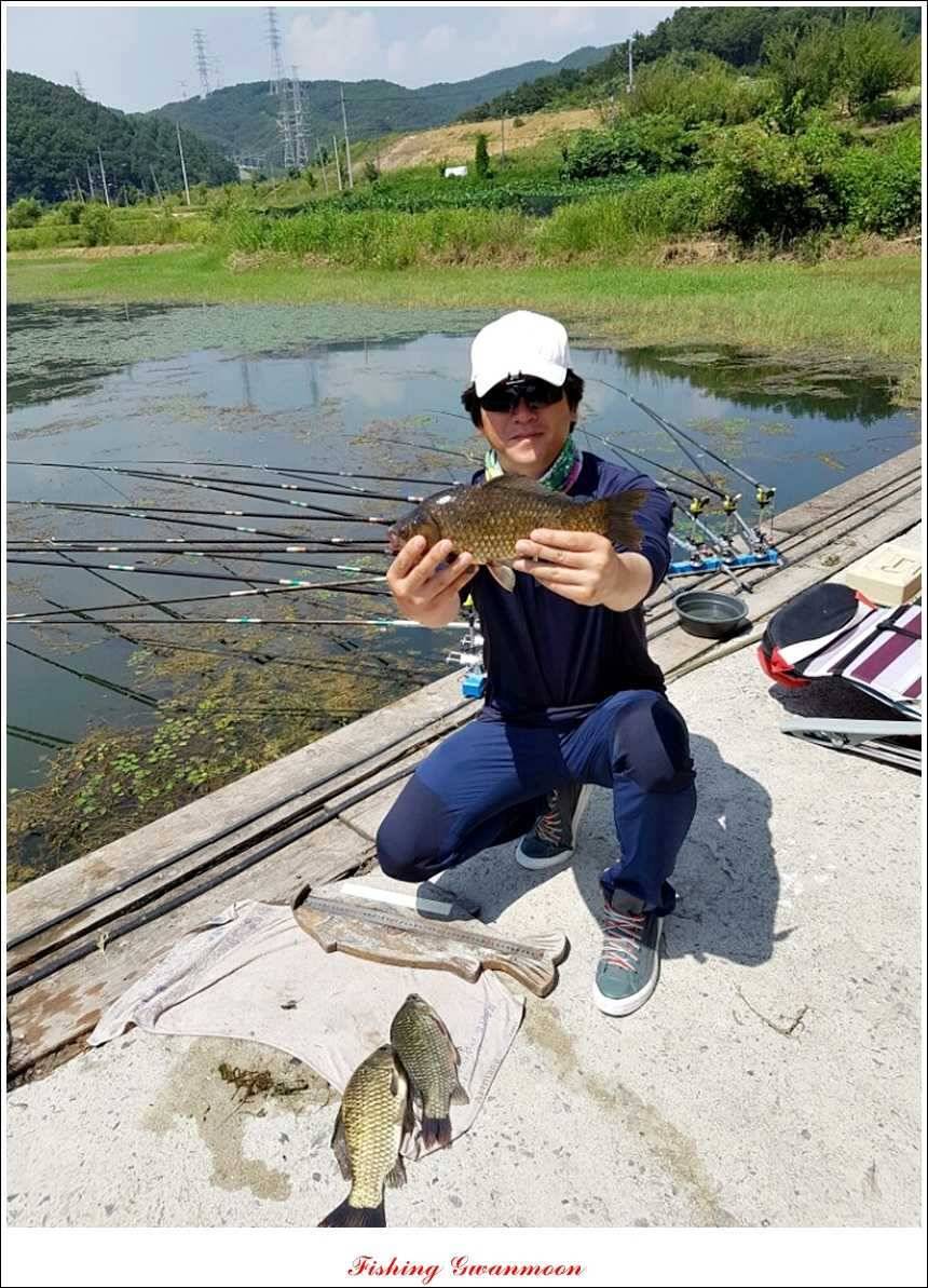 문골돌감실리곡화곡지 조황 (조황조행기 - 특파원조황)