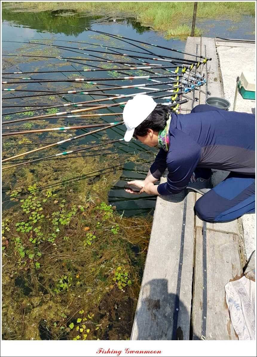 문골돌감실리곡화곡지 조황 (조황조행기 - 특파원조황)