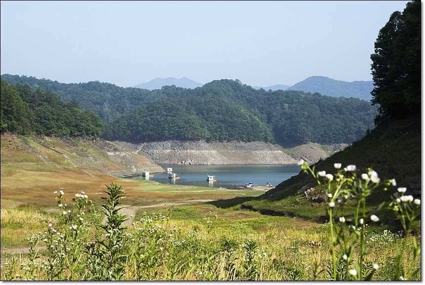 12 키로 장어솥뚜껑 자라 (조황조행기 - 특파원조황)