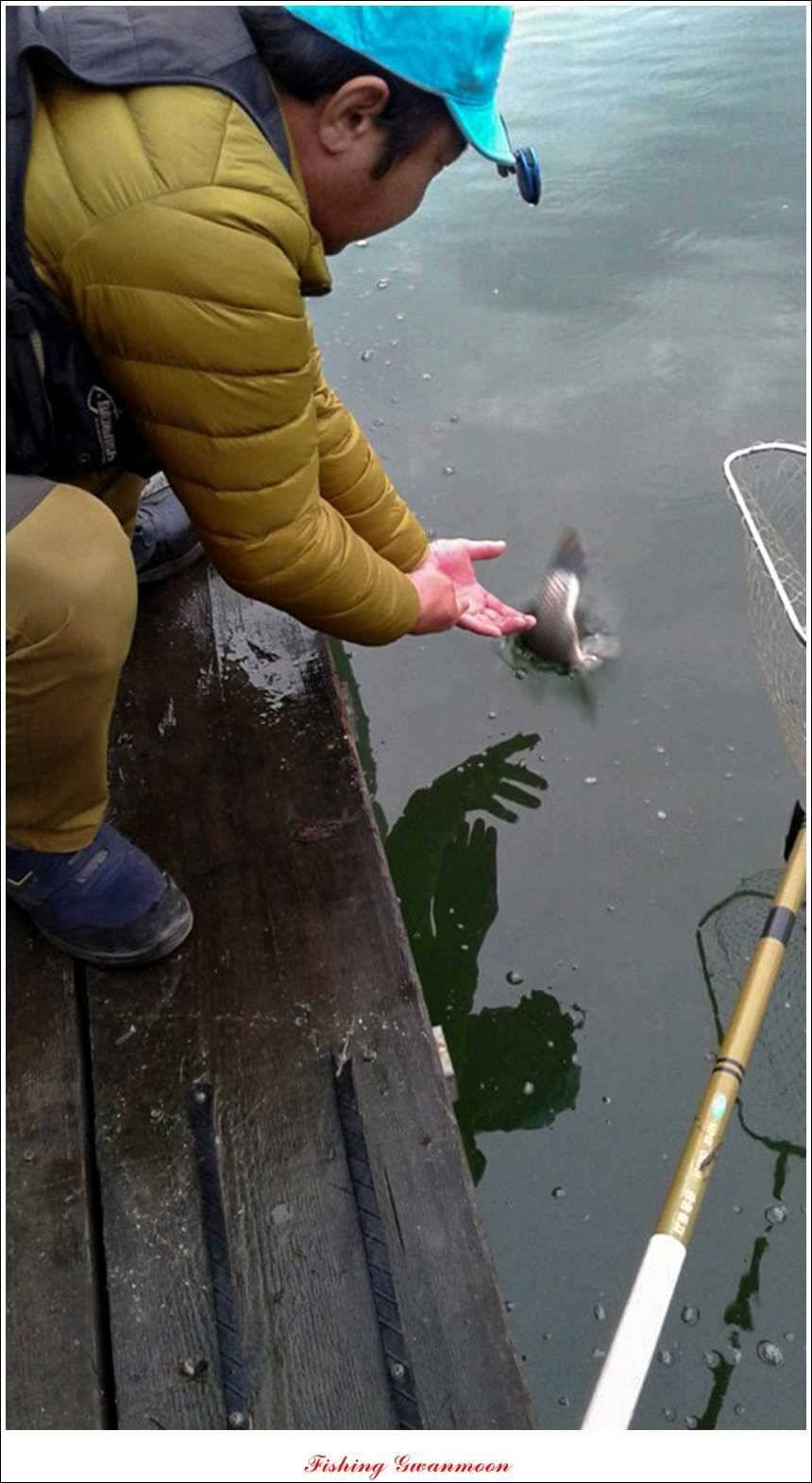 한버들실리곡돌감화곡지 조황 (조황조행기 - 특파원조황)