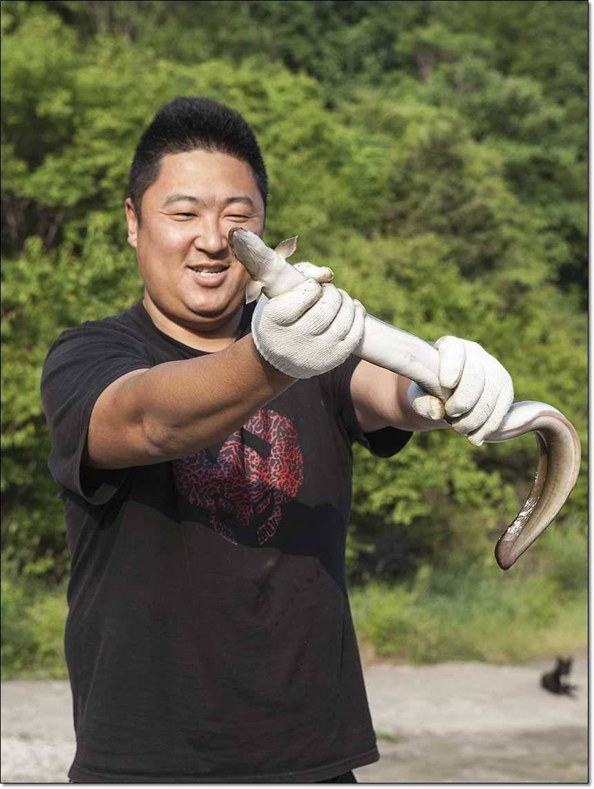충주호 사짜사짜장어 대물 (조황조행기 - 특파원조황)