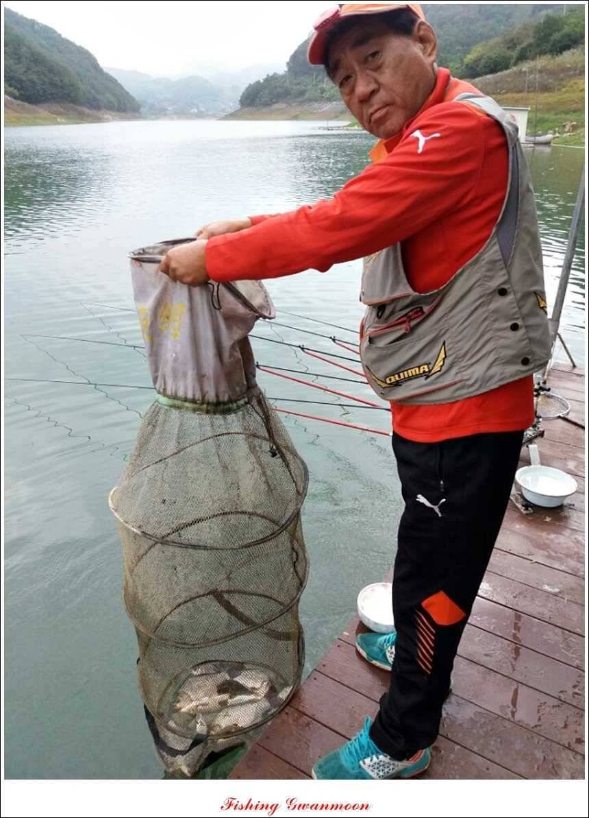 한버들실리곡돌감화곡지 조황 (조황조행기 - 특파원조황)