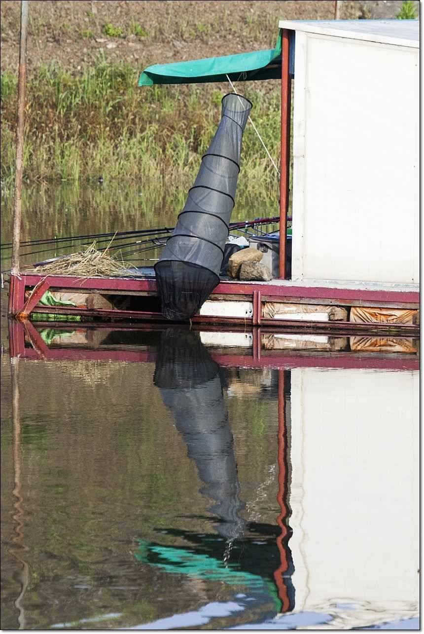 병호 395 cm 대물 (조황조행기 - 특파원조황)
