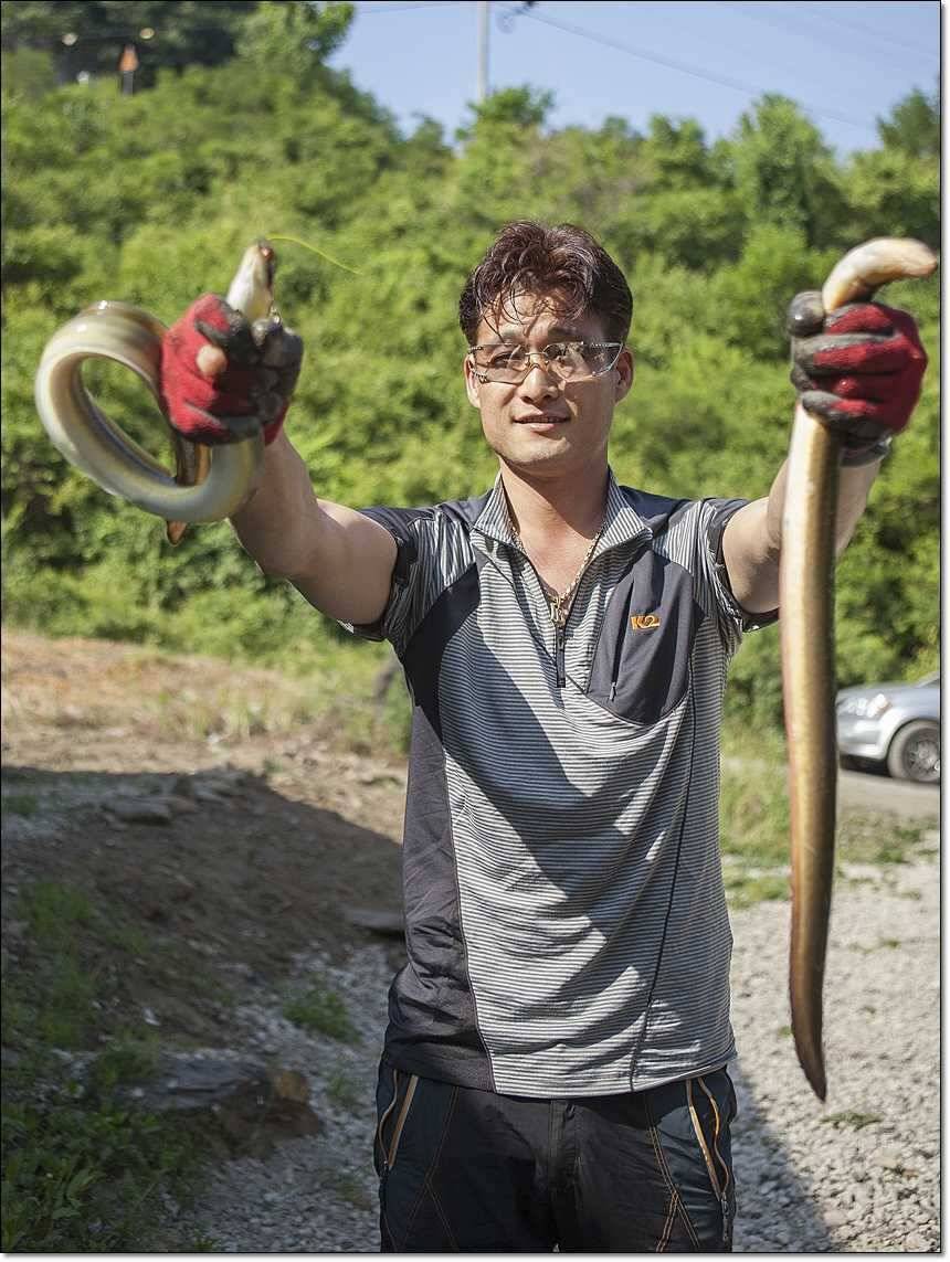 12 키로 장어솥뚜껑 자라 (조황조행기 - 특파원조황)