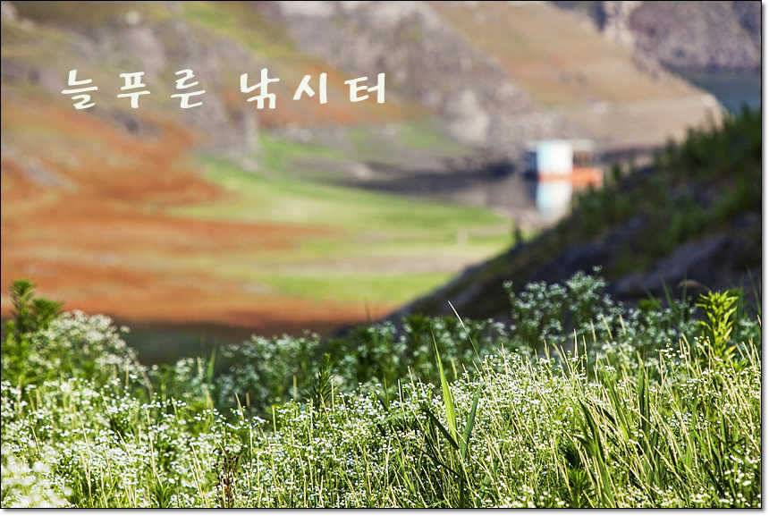 늘푸른 13 kg 장어 소식 (조황조행기 - 특파원조황)