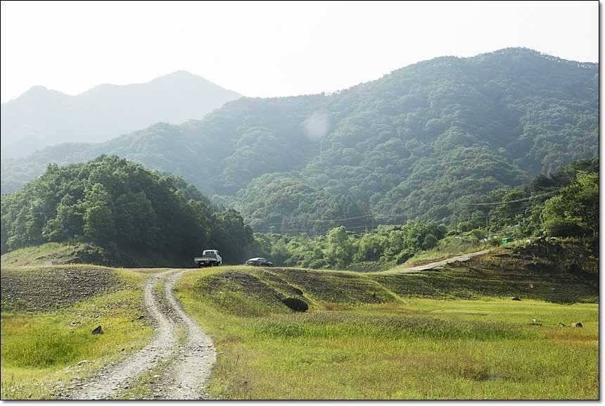 충주호 사짜사짜장어 대물 (조황조행기 - 특파원조황)