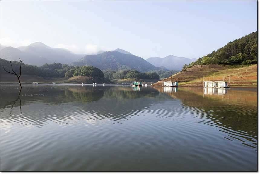 신매 월척병호 월척돌감 월척 (조황조행기 - 특파원조황)
