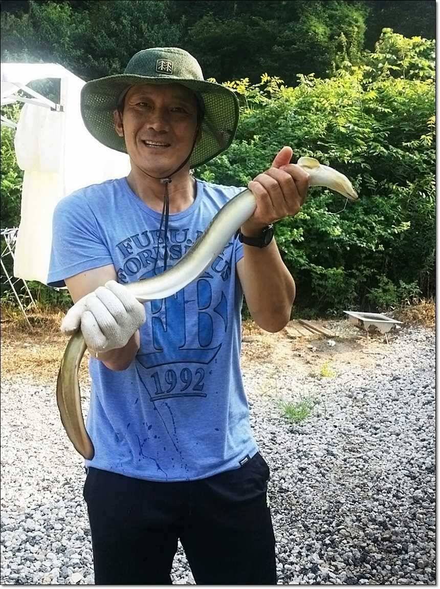늘푸른 장어한버들 월척 (조황조행기 - 특파원조황)